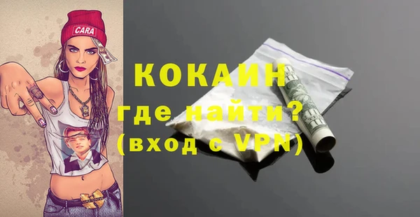 шишки Богородск
