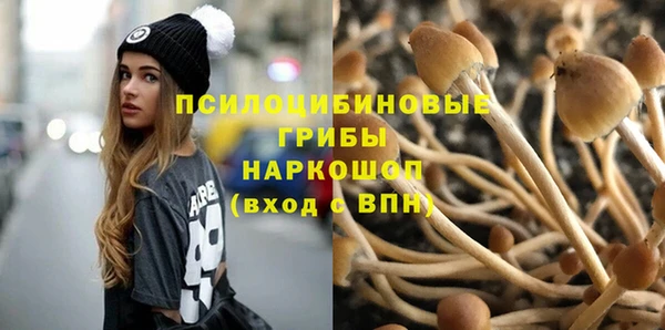 шишки Богородск