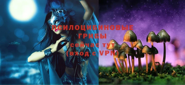 винт Богородицк