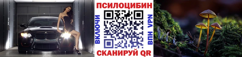 купить наркоту  Кимры  Псилоцибиновые грибы ЛСД 